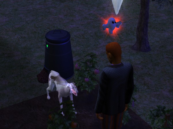 snapshot_c206f322_622c088e