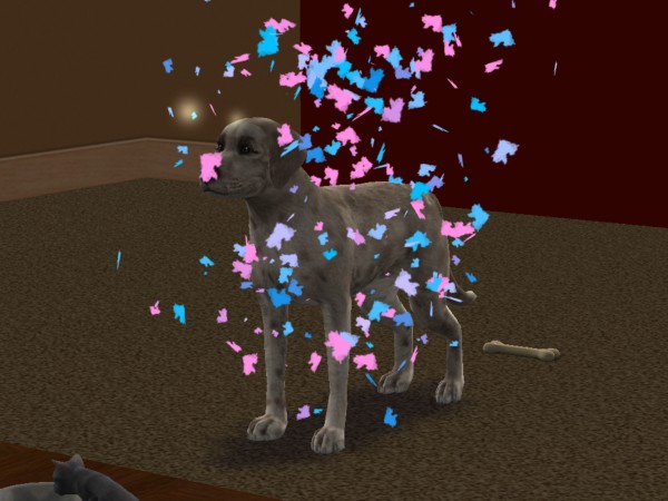 snapshot_c206f322_e22c02a7