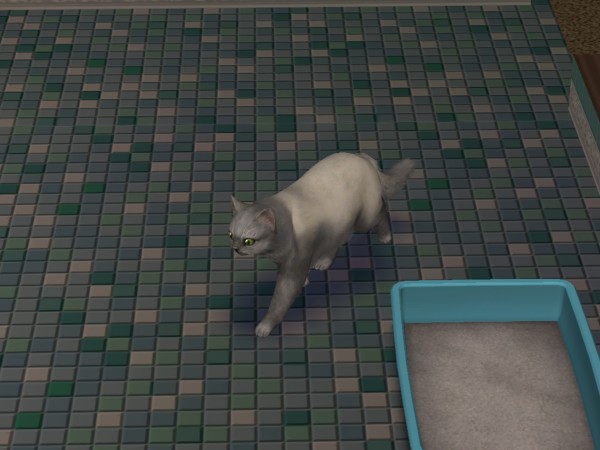 snapshot_c206f322_e22c0dc4