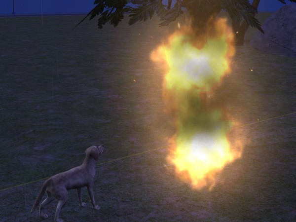 snapshot_c206f322_e22c238a