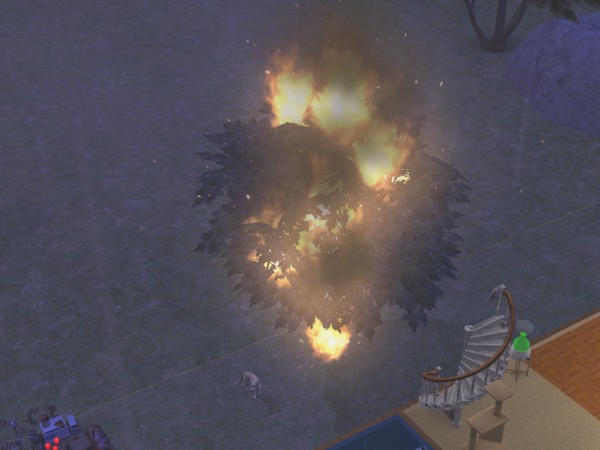 snapshot_c206f322_e22c239e