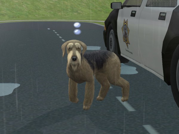 snapshot_02231629_022d2b63