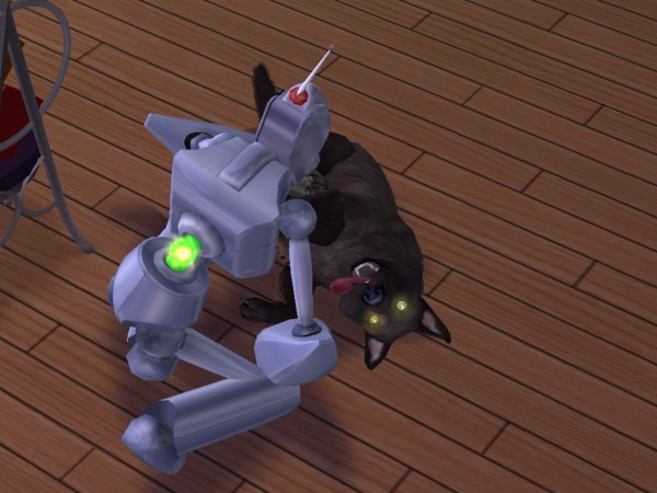 snapshot_02231629_022d2c84