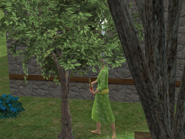 snapshot_02231629_222d215a