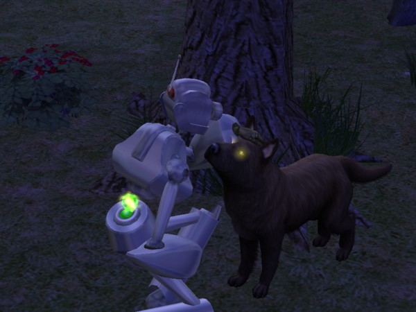 snapshot_02231629_a22d1fad