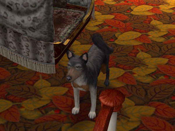 snapshot_42074dec_0239a603