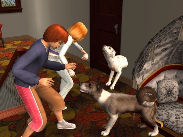 snapshot_42074dec_623874c0