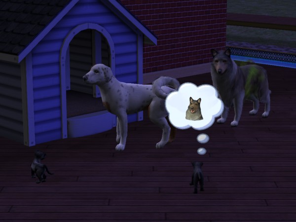 snapshot_42074dec_c2386e2e