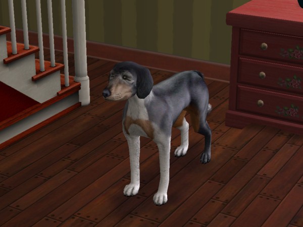 snapshot_42074dec_e239a5f7