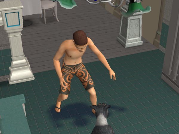 snapshot_4222f9b8_222c7946