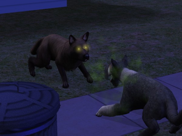 snapshot_4222f9b8_422c775c