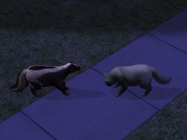 snapshot_c206f322_222d54c6