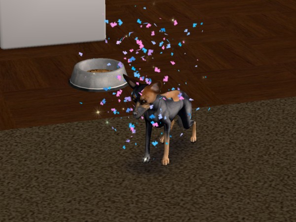 snapshot_c206f322_822d561e