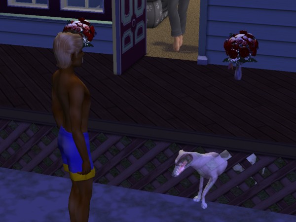 snapshot_c206f322_c22d6243