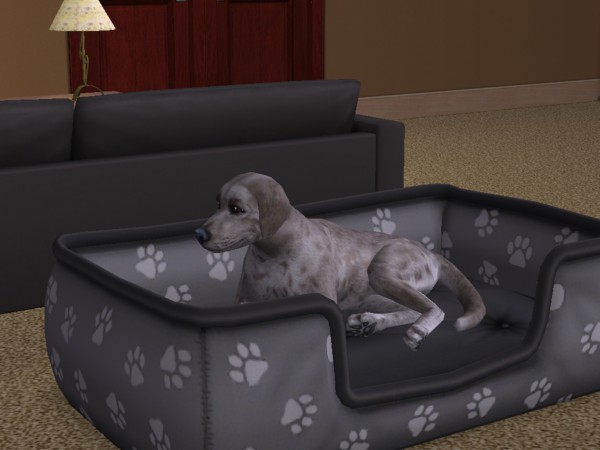 snapshot_c206f322_e22d57c5