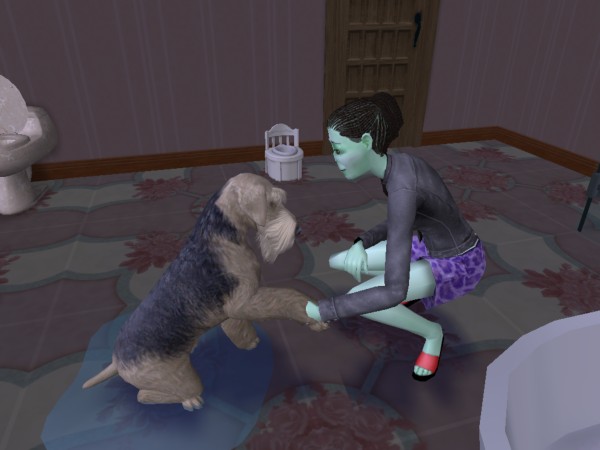 snapshot_02231629_023d949e