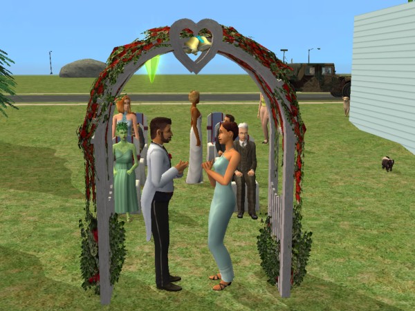 snapshot_4222f9b8_c239b255