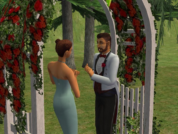 snapshot_4222f9b8_e239b238