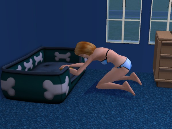 snapshot_c206f322_023e7128