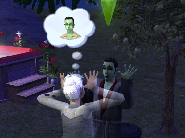 snapshot_c206f322_823e6d7b