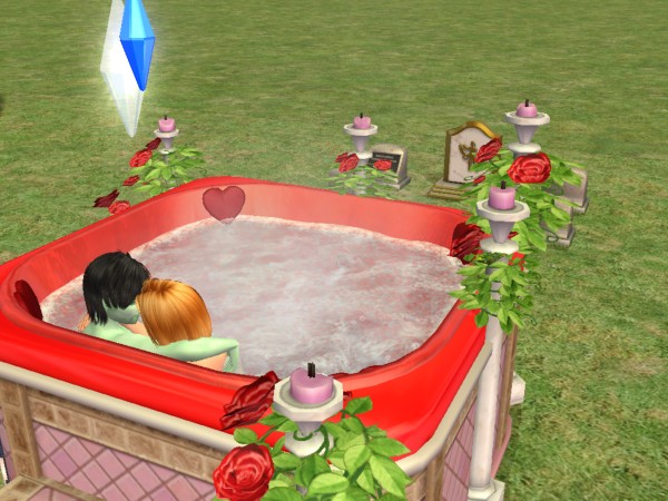 snapshot_c206f322_823e70d1