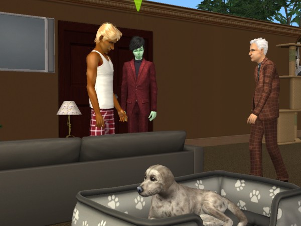 snapshot_c206f322_a23e6e14