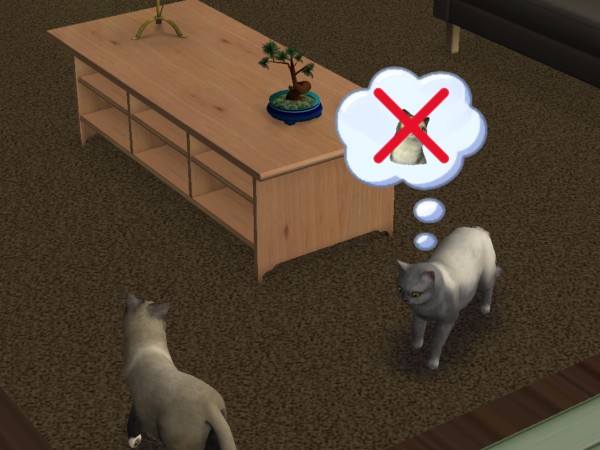 snapshot_c206f322_a23e7a0c