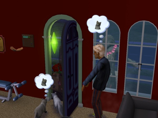 snapshot_c206f322_e23e7b53