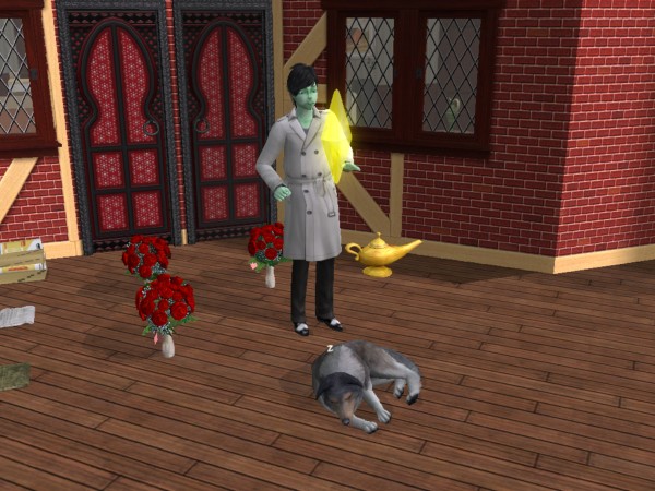 snapshot_42074dec_223efe78