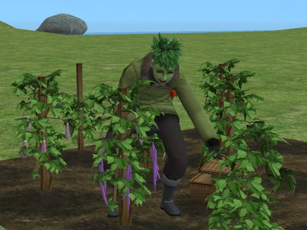 snapshot_42074dec_423edd67