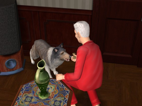 snapshot_42074dec_823efe1a