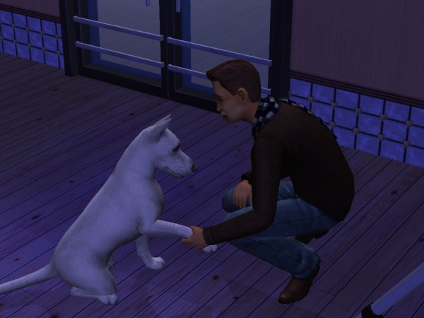 snapshot_422dbe96_423ed7a1