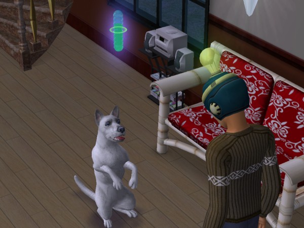 snapshot_422dbe96_423edaf6