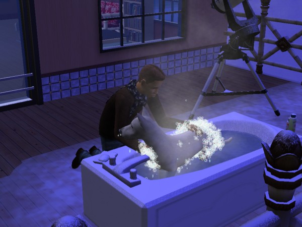 snapshot_422dbe96_623eaf62