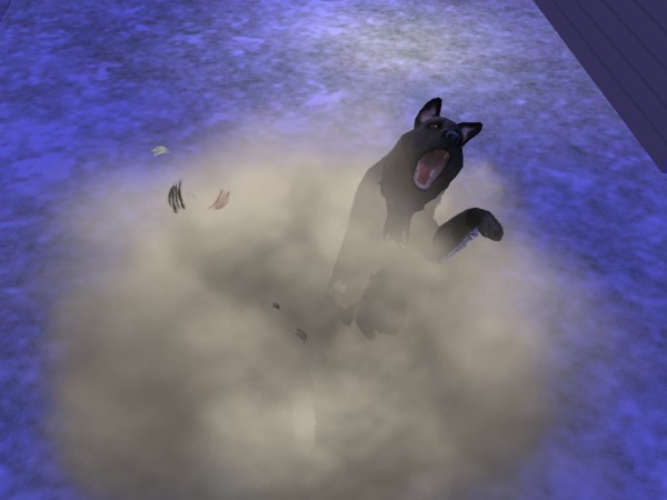 snapshot_822d6ec7_223e94d1