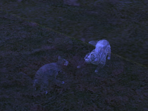 snapshot_c206f322_223e8a39