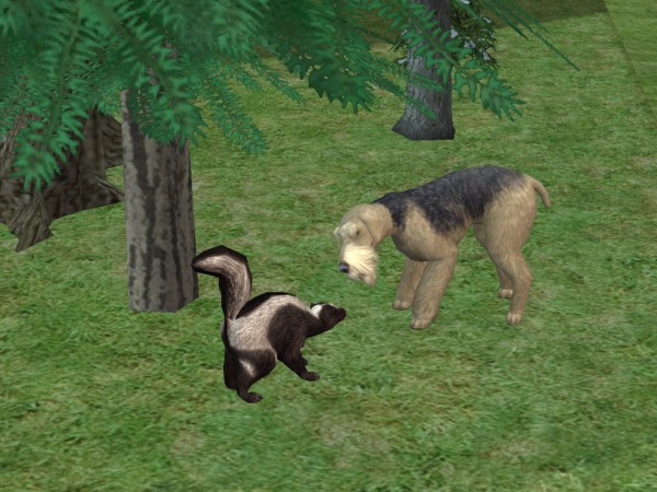 snapshot_02231629_02405370