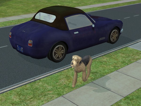 snapshot_02231629_6240532b