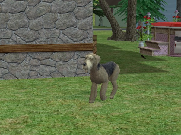 snapshot_02231629_c2405265