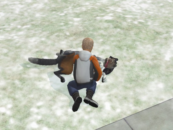 snapshot_4222f9b8_223fc862