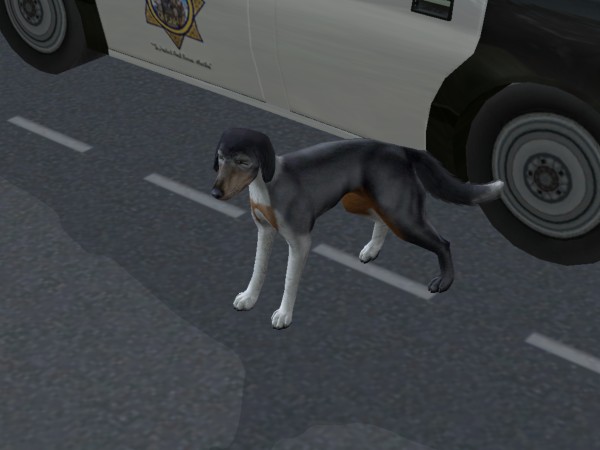 snapshot_4222f9b8_823fc55e