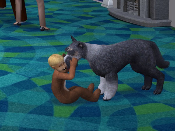 snapshot_4222f9b8_c23f0b55