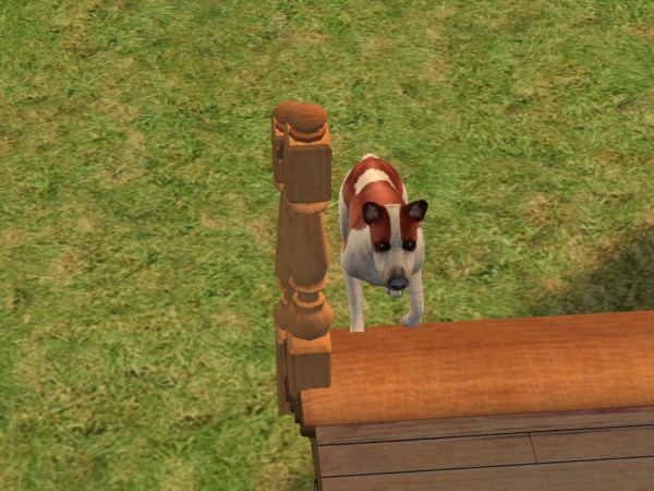 snapshot_422dbe96_025a732a