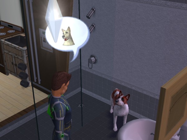 snapshot_422dbe96_225a71b8