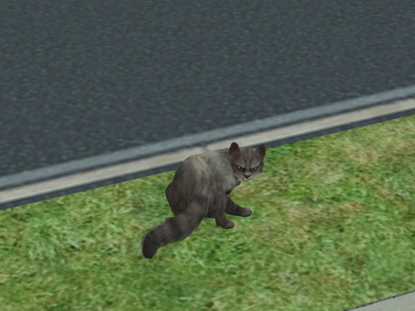 snapshot_c206f322_e25a13fb