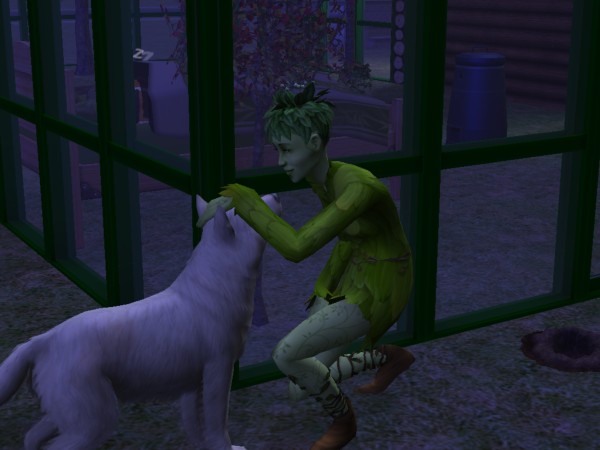 snapshot_025a2782_825d3cef