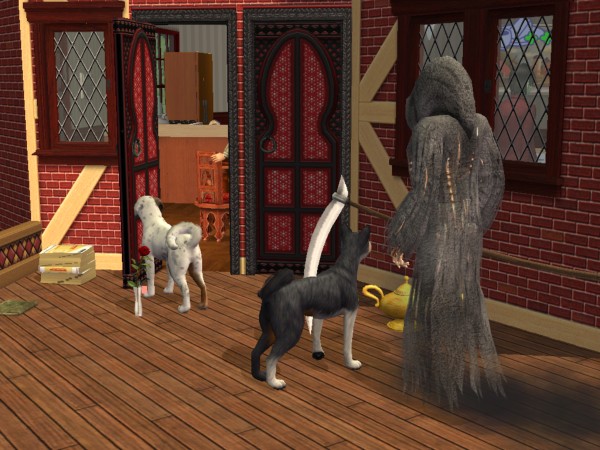 snapshot_42074dec_c263981e