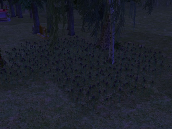 snapshot_4222f9b8_425b9235