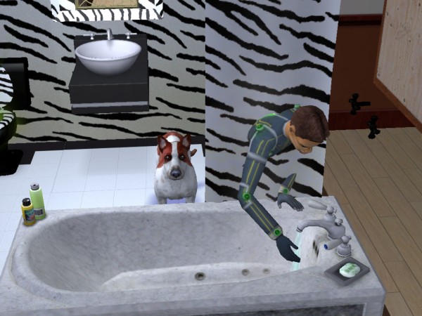 snapshot_422dbe96_82629f00