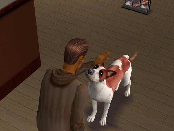 snapshot_422dbe96_c263503e